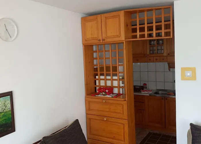 Апартаменты Medo Златибор