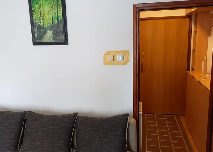 Medo * Златибор